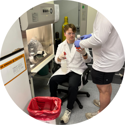 SBU Students working with HeLa cells