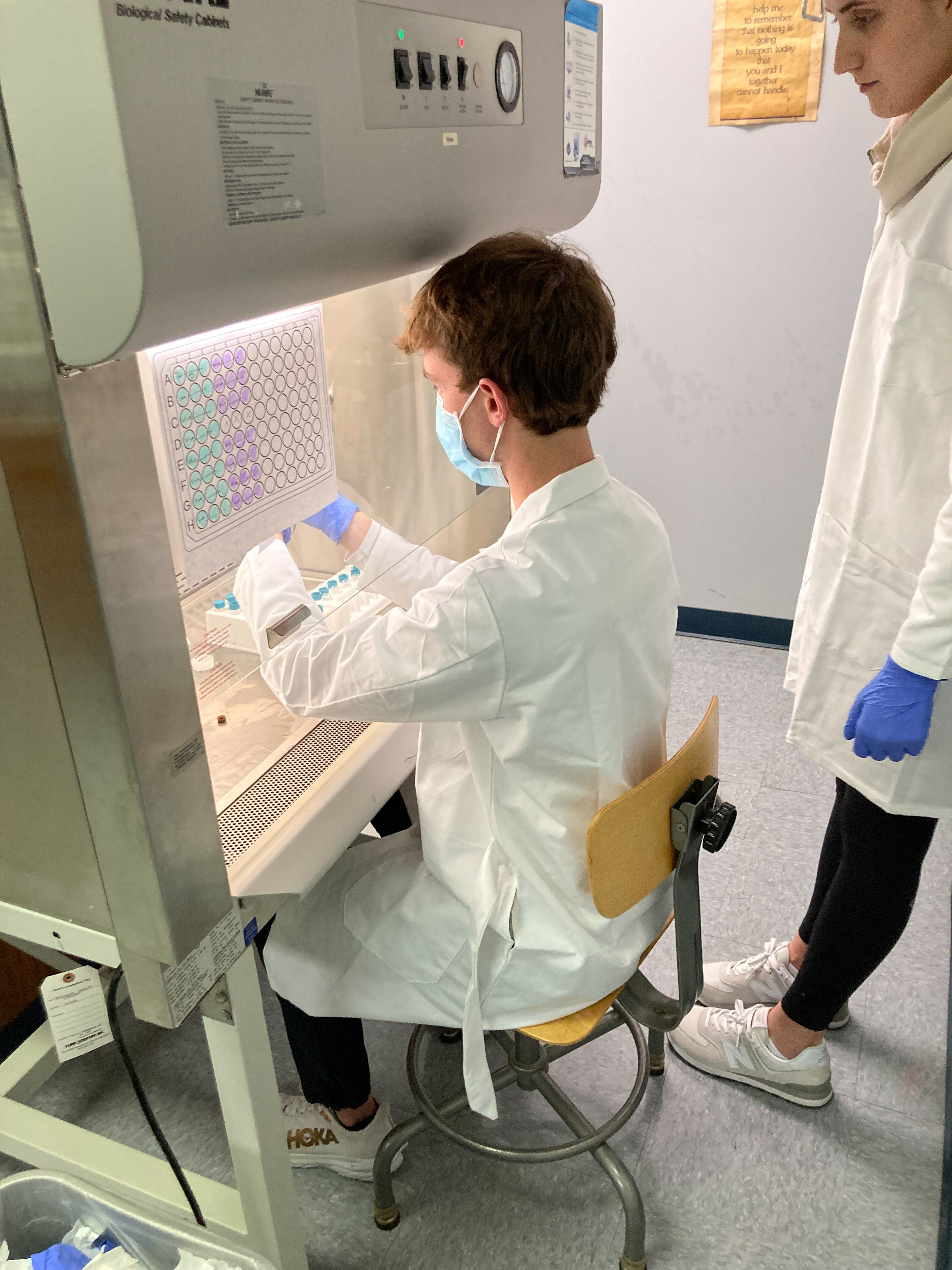 Student working in Lab